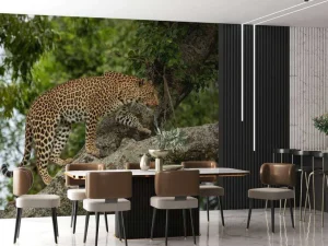 Clearance Luipaard klimt in een boom fotobehang Tienerkamer | Dieren