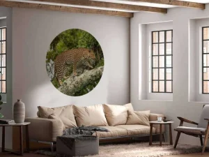 Clearance Luipaard klimt in een boom fotobehang Tienerkamer | Dieren