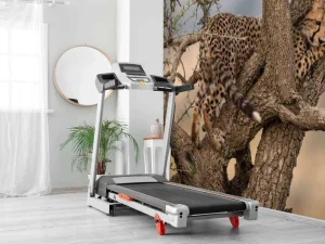 Best Luipaard krabt aan een boom fotobehang Dieren