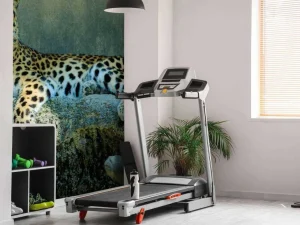 Sale Luipaard met een alerte houding fotobehang Dieren