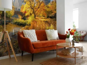 Outlet Manhattan Central Park in de herfst fotobehang Architectuur