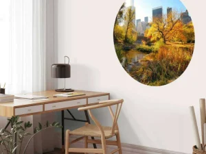 Outlet Manhattan Central Park in de herfst fotobehang Architectuur