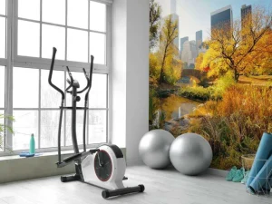 Outlet Manhattan Central Park in de herfst fotobehang Architectuur