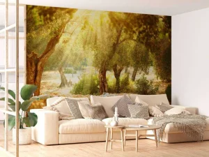 Outlet Mediterrane Olijven Boomgaard fotobehang Bloemen