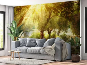 Outlet Mediterrane Olijven Boomgaard fotobehang Bloemen