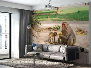 Discount Moeder aap geeft haar kindje te eten fotobehang Dieren