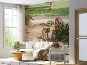 Discount Moeder aap geeft haar kindje te eten fotobehang Dieren