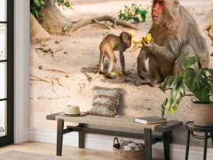 Discount Moeder aap geeft haar kindje te eten fotobehang Dieren