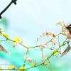 New 2 Mooie Vlinders op Bloesem fotobehang Dieren | Bloemen