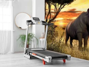 Discount Neushoorn bij zonsondergang fotobehang Tienerkamer | Dieren
