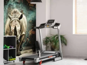 Discount Neushoorn breekt door de muur fotobehang Hobbykamer | 3d