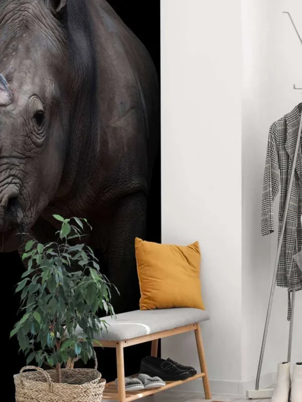 Online Neushoorn met een zwarte achtergrond fotobehang Hobbykamer | Dieren
