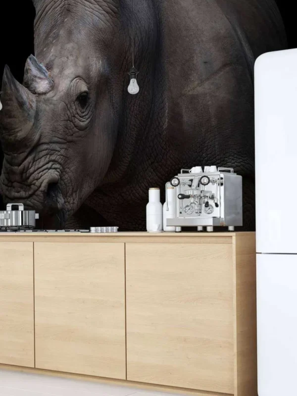 Online Neushoorn met een zwarte achtergrond fotobehang Hobbykamer | Dieren