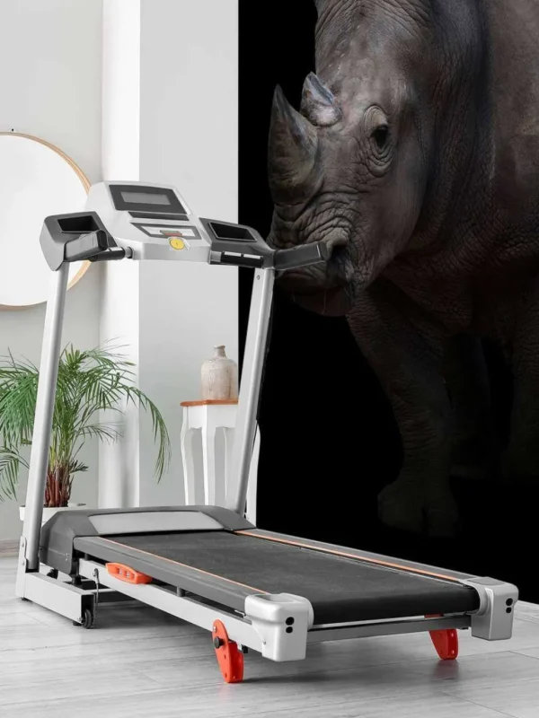 Online Neushoorn met een zwarte achtergrond fotobehang Hobbykamer | Dieren