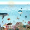 Sale Ocean Lookbook Kinderkamer