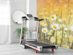 Sale Olieverfschilderij van kamille bloemen fotobehang Kunst & Design | Bloemen