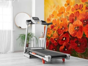 Best Olieverfschilderij van klaprozen fotobehang Kunst & Design | Bloemen