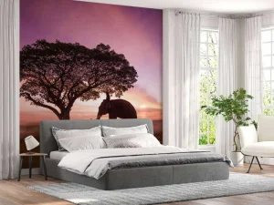 Best Olifant bij een unieke zonsondergang fotobehang Bloemen