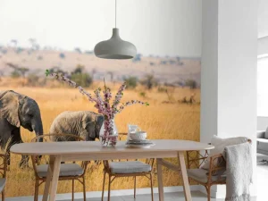 Fashion Olifant en Baby Olifant in Afrika fotobehang Dieren