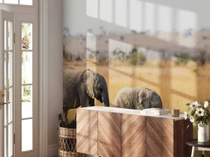 Fashion Olifant en Baby Olifant in Afrika fotobehang Dieren