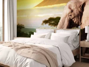 New Olifant in een savanne landschap bij zonsondergang fotobehang Dieren