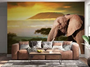 New Olifant in een savanne landschap bij zonsondergang fotobehang Dieren