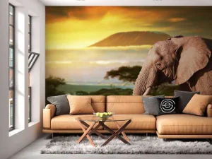 New Olifant in een savanne landschap bij zonsondergang fotobehang Dieren