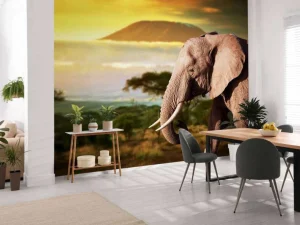 New Olifant in een savanne landschap bij zonsondergang fotobehang Dieren