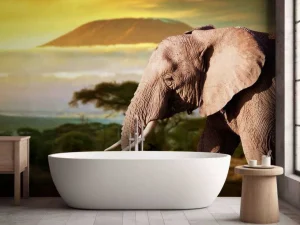 New Olifant in een savanne landschap bij zonsondergang fotobehang Dieren