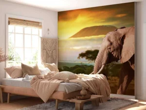 New Olifant in een savanne landschap bij zonsondergang fotobehang Dieren