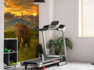 Online Olifant in Kenia bij zonsondergang fotobehang Dieren