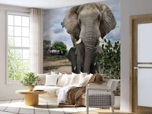 Sale Olifant met kinderen fotobehang Dieren