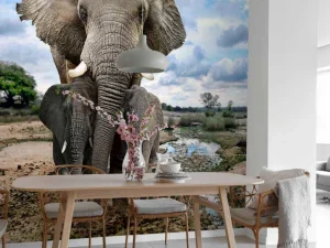 Sale Olifant met kinderen fotobehang Dieren