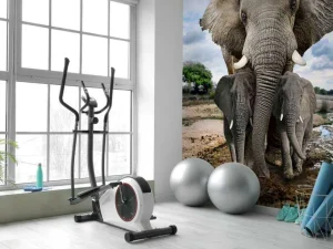 Sale Olifant met kinderen fotobehang Dieren