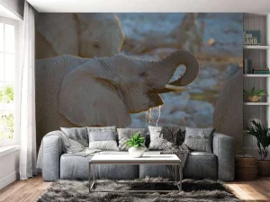 New Olifanten drinken water fotobehang Dieren