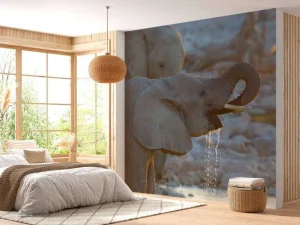 New Olifanten drinken water fotobehang Dieren