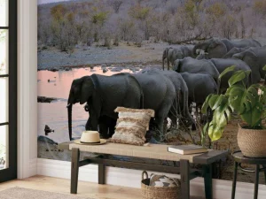 Sale Olifanten langs het water fotobehang Dieren