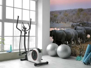 Sale Olifanten langs het water fotobehang Dieren