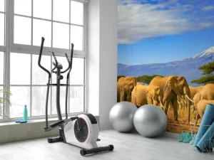 Best Olifanten met de Kilimanjaro berg op de achtergrond fotobehang Dieren