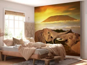 Clearance Olifanten spelen bij zonsondergang fotobehang Dieren
