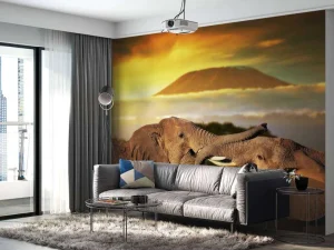 Clearance Olifanten spelen bij zonsondergang fotobehang Dieren