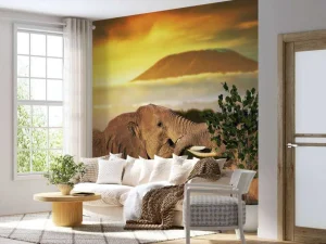 Clearance Olifanten spelen bij zonsondergang fotobehang Dieren