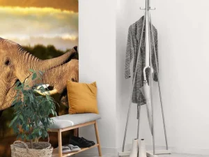 Clearance Olifanten spelen bij zonsondergang fotobehang Dieren