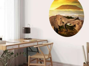 Clearance Olifanten spelen bij zonsondergang fotobehang Dieren