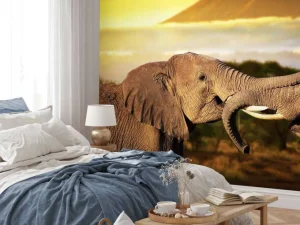 Clearance Olifanten spelen bij zonsondergang fotobehang Dieren