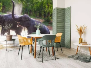 New olifanten spelen in het water fotobehang Dieren
