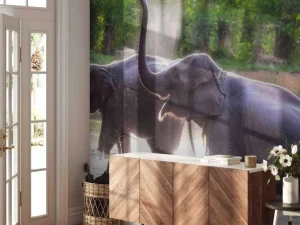 New olifanten spelen in het water fotobehang Dieren