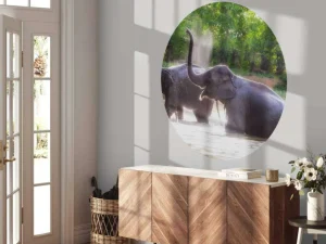 New olifanten spelen in het water fotobehang Dieren