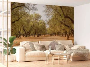 Clearance Olijfbomen Veld fotobehang Bloemen