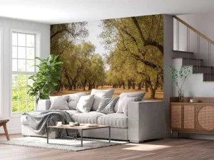 Clearance Olijfbomen Veld fotobehang Bloemen